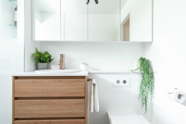 Plumbing-Tips-for-Bathroom-Renovations-Zou-Build